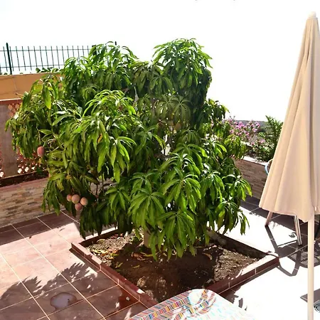 Casa Junonia Alajero